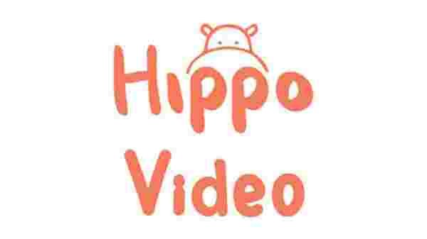 Hippo Video – Whole life cycle of a video taken care.