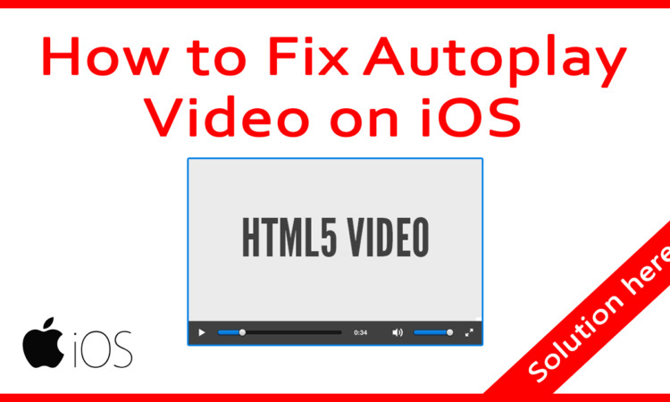 fix autoplay html5 video