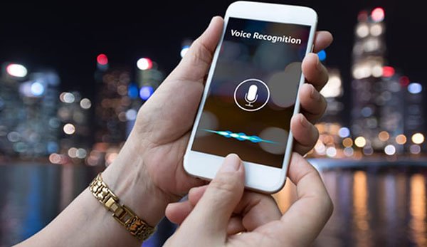 The Truth About Voice Search