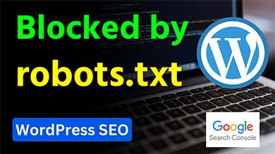 Fix Robots.txt Errors on GSC for Better WordPress SEO